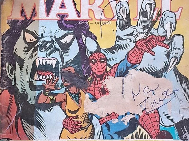 Homem-Aranha & Morbius, Coisa &&nbsp;Mulher-Aranha.